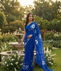 Chiffon Floral Hand-Painted Saree with Stone Border